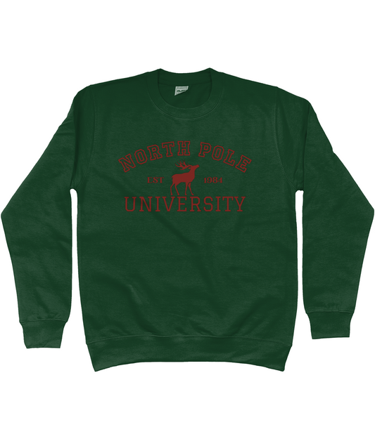 North Pole University Sweater