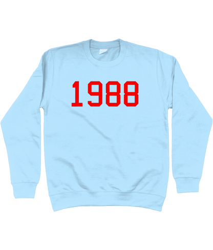 CUSTOM Personalised Year Sweater