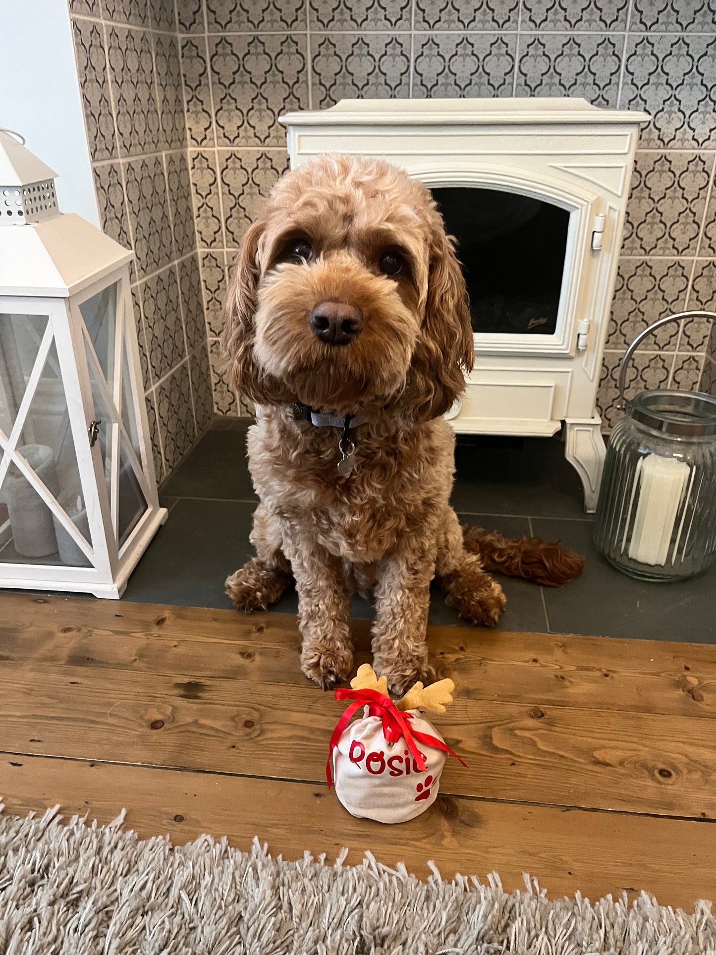 Personalised Xmas Dog Treat Bag